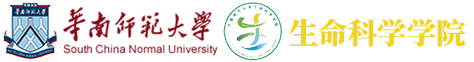 必赢3003am